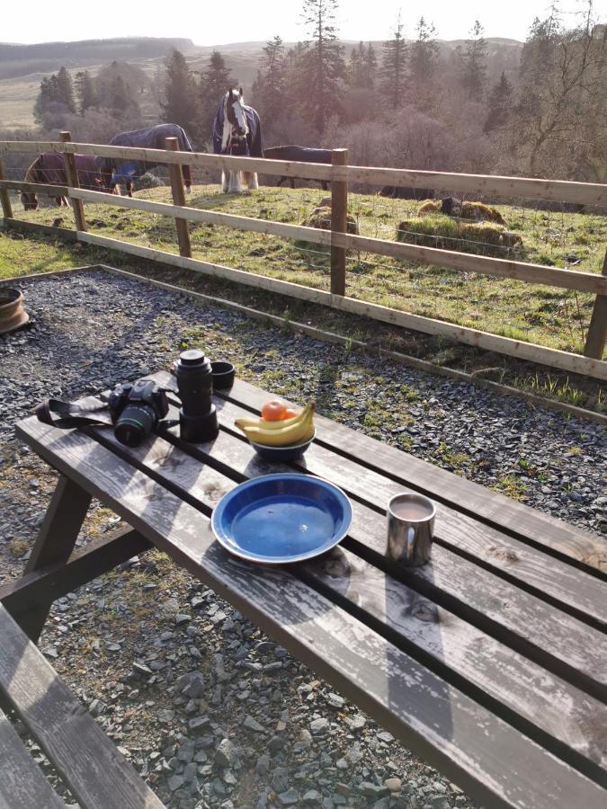 Dalmellington Glamping Pod 2 Magical Craigengillan Estateヴィラ エクステリア 写真