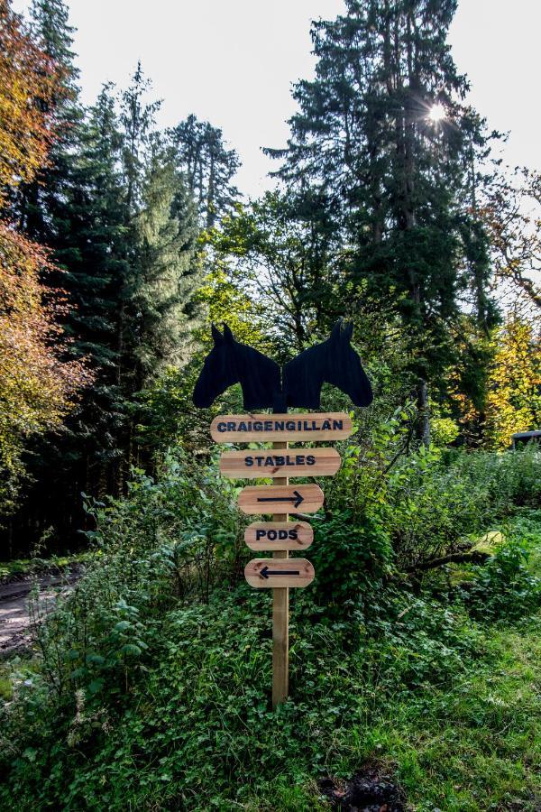 Dalmellington Glamping Pod 2 Magical Craigengillan Estateヴィラ エクステリア 写真